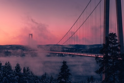 灰色全吊桥白天摄影